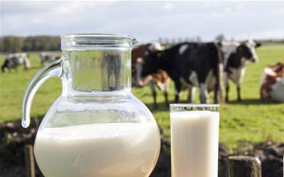 牛奶排毒的原理是什么？ 