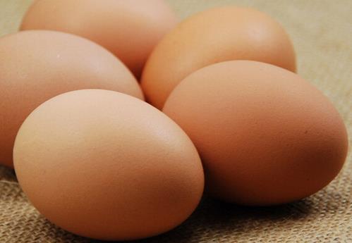 感冒了能吃鸡蛋吗吃多了会怎样 2023亳州市荣芝晓科普文章