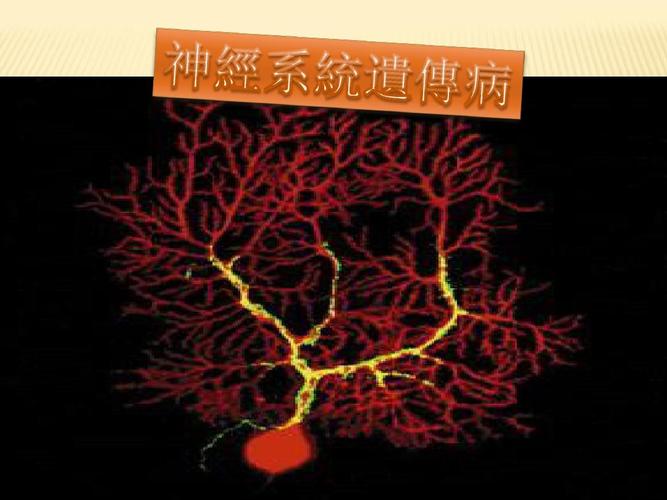 神经系统紊乱的症状 扬州市叶荔婵：关于遗传病的日常科普