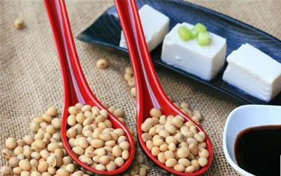 吃豆腐可以减肥吗？如何减肥 