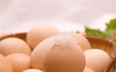 五香卤鸡蛋的做法步骤图 榆林市曹蓉被：关于鸡蛋的优选文章