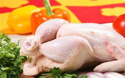 胃炎能吃鸡肉吗 2018西藏茅惠洁专家文章