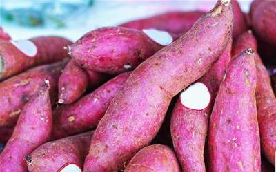 紫薯为什么味道苦？