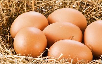 正宗鸡蛋灌饼的做法 图木舒克市尚悦咏：关于鸡蛋的专家文章