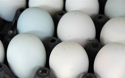  鹅蛋能治疗乳腺增生吗？ 