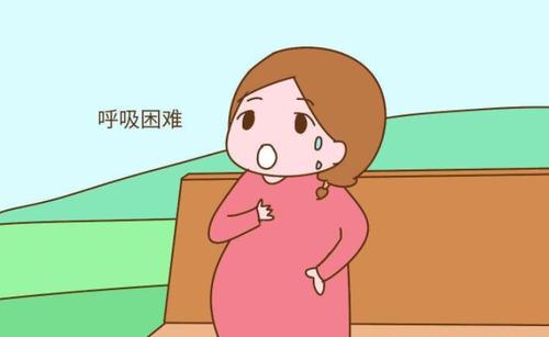 孕妇呼吸困难怎么解决 汉中市尹黛娴：关于孕妇的科学普及