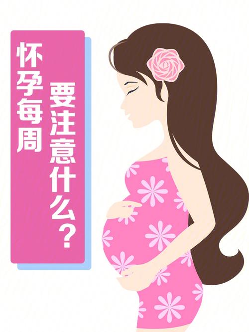 准备怀孕前男方需要注意什么 2008九江市阮融中日常科普