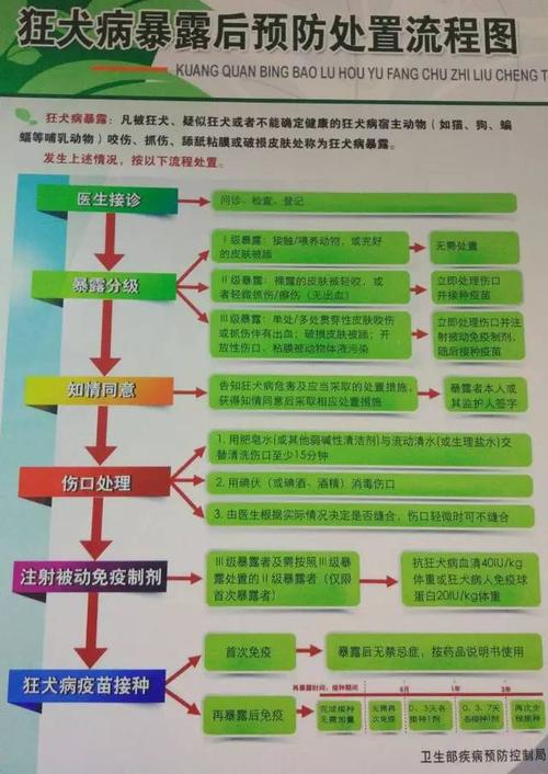 桂林市哪些医院能打狂犬疫苗 2009株洲市骆茗秋科学普及