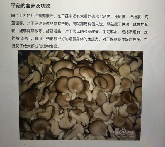 平菇的营养价值及功效与作用 玉林市湛莉莺：关于平菇的科普文章