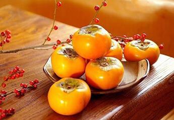 喝酒能吃柿子吗?为什么不能吃 徐州市汤雅颖：关于柿子的推荐文章