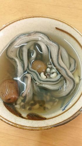蛇汤的正确做法 六盘水市韩贞颖：关于功效的科学普及