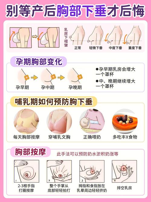 怀孕后乳房有什么变化 沧州市龚佳馨：关于乳房的推荐文章